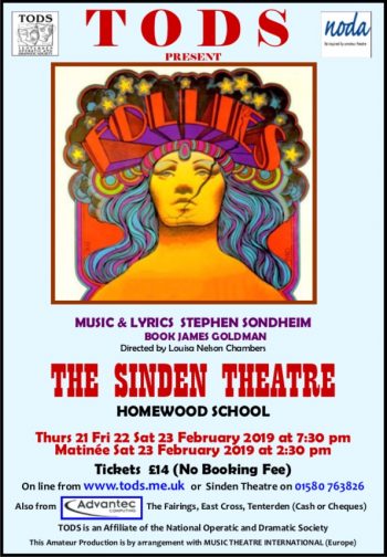 Poster for Follies